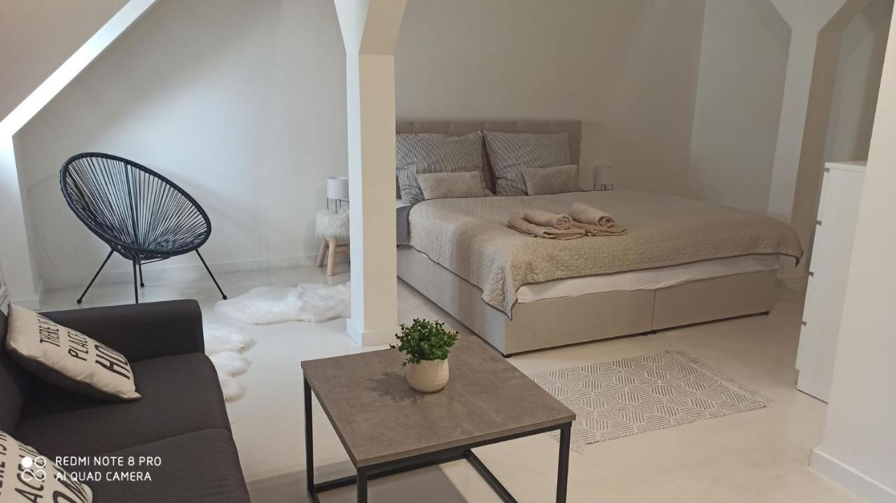 Апартаменты U Zlate Hvezdy Apartman Jungmann Литомержице Экстерьер фото
